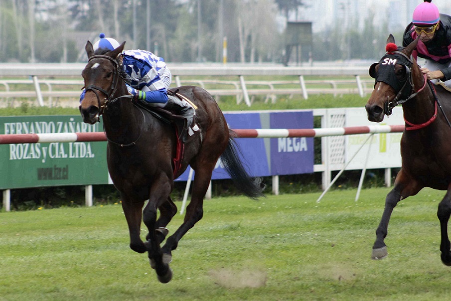 Luccina, horse, Haras Don Alberto, Clásico Protectora, domingo, 13 de diciembre de 2019, Club Hípico de Santiago. Foto: Jaime Cortés