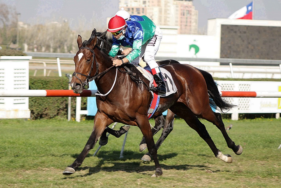 Mosala, horse, Stud Matriarca, Carrera Condicional, lunes, 1 de mayo de 2021, Club Hípico de Santiago. Foto: Jaime Cortés