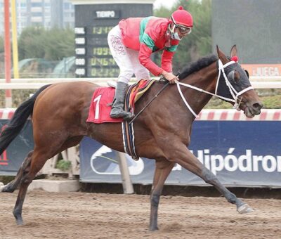 Norwegian Queen, horse, Stud Haras Sumaya, Clásico José Saavedra Baeza, sábado, 8 de mayo de 2021, Hipódromo de Chile. Foto: Jaime Cortés