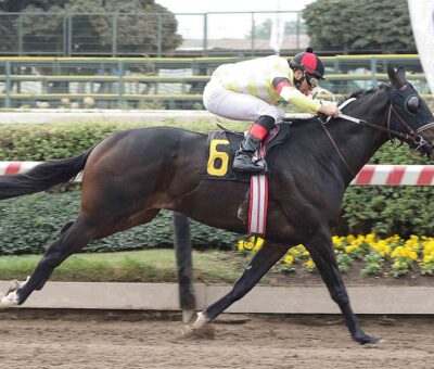 Waiwen, horse, Stud Lizzie, Clásico Víctor Mátetic Fernández, sábado, 8 de mayo de 2021, Hipódromo de Chile. Foto: Jaime Cortés