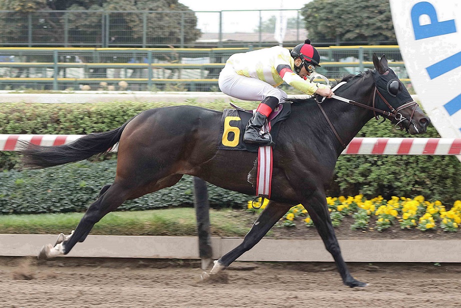 Waiwen, horse, Stud Lizzie, Clásico Víctor Mátetic Fernández, sábado, 8 de mayo de 2021, Hipódromo de Chile. Foto: Jaime Cortés