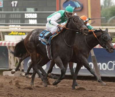 Win Here, horse, Haras El Sheik, Clásico Gran Premio de Chile, sábado, 1 de mayo de 2021, Hipódromo de Chile. Foto: Jaime Cortés