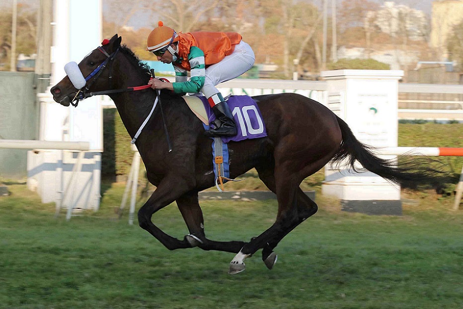 Y Nada Más, horse, Constitution, Clásico Criadores Carlos Hirmas G2, viernes, 28 de mayo de 2021, Club Hípico de Santiago. Foto: Jaime Cortés