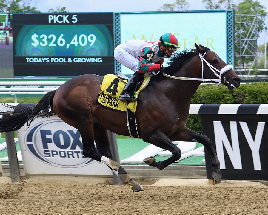 Firenze Fire, horse, Mr. Amore Stable, Runhappy Stakes, sábado, 8 de mayo de 2021, Belmont Park. Foto: Coglianese Photo