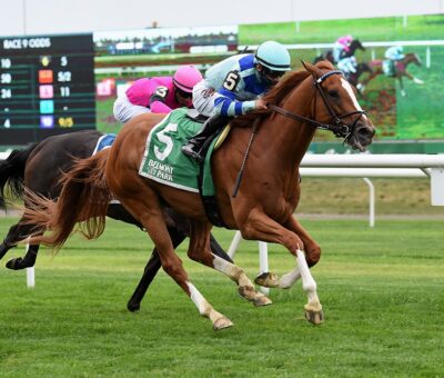 Get Smokin, horse, Get Stormy, Seek Again Stakes, sábado, 22 de mayo de 2021, Belmont Park. Foto: Coglaniese Photo