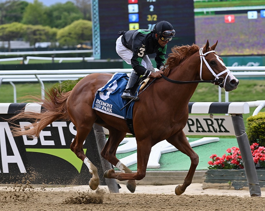 Promise Keeper, horse, WinStar Farm, Peter Pan Stakes, sábado, 8 de mayo de 2021, Belmont Park. Foto: Coglianese Photo