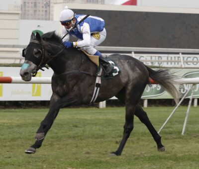 Aucar, horse, Mastercraftsman, Clásico Agustín Edwards, viernes, 4 de junio de 2021, Club Hípico de Santiago. Foto: Jaime Cortés