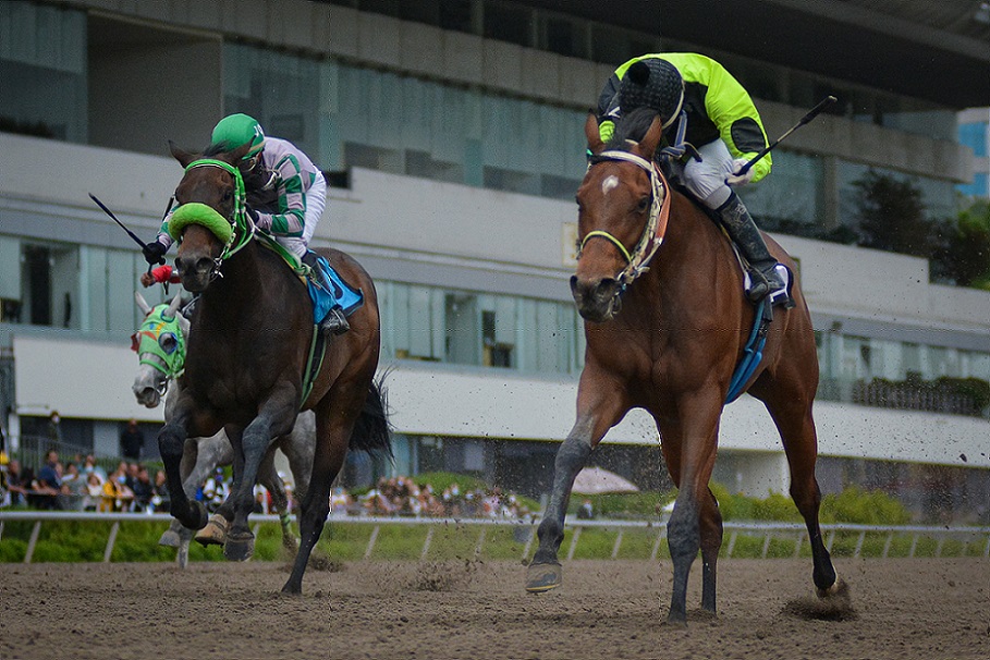 Baby Anel, horse, Cuadra AMC, Clásico Tonalá, Hipódromo de Las Américas, sábado, 12 de junio de 2021. Foto: Miguel Ángel Espinoza