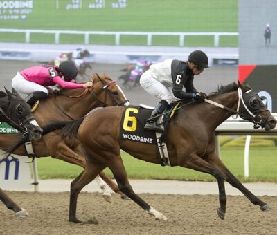 Can´t Buy Love, horse, Twirling Candy, Star Shoot Stakes, sábado, 19 de junio de 2021, Woodbine. Foto: Michael Burns Photography