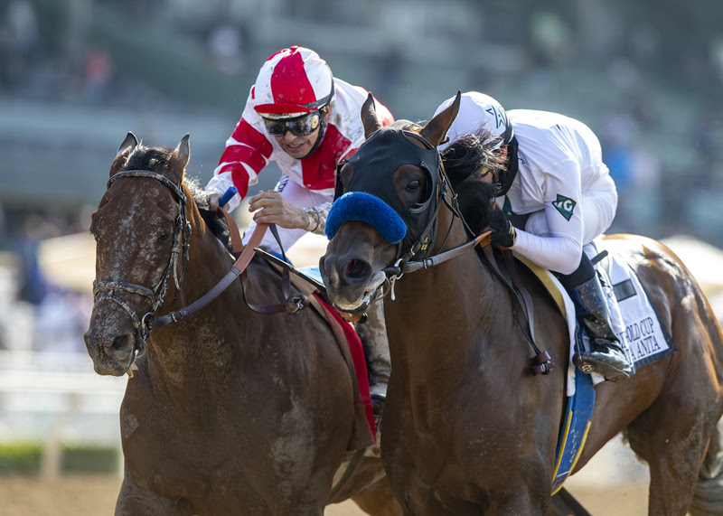 Country Grammer, horse, WinStar Farm, Hollywood Gold Cup, lunes, 31 de mayo de 2021, Santa Anita Park. Foto: Benoit Photo