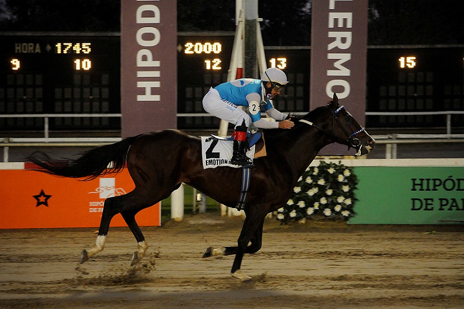 Emotion Orpen, horse, Orpen, Clásico Gran Premio Estrellas Classic, sábado, 26 de junio de 2021, Hipódromo de Palermo. Foto: Prensa Palermo