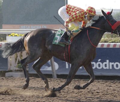 La Candonga, horse, Verrazano, Clásico Carlos Allende Navarro, jueves, 17 de junio de 2021, Hipódromo de Chile. Foto: Foto Jaime Cortés