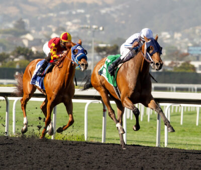 Navy Armed Guard, horse, Midshipman, All American Stakes, lunes, 31 de mayo de 2021, Golden Gate Fields. Foto: Shane Micheli & Vassar Photography