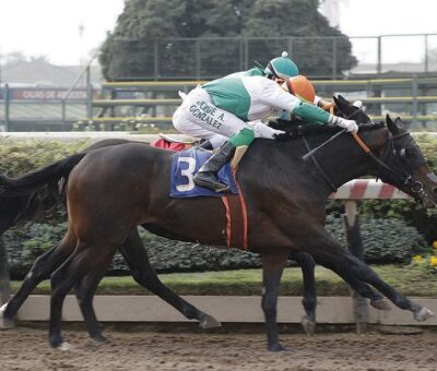 O´Connor, horse, Haras Carioca, Clásico Gran Premio de Honor, sábado, 5 de junio de 2021, Hipódromo de Chile. Foto: Foto Jaime Cortés