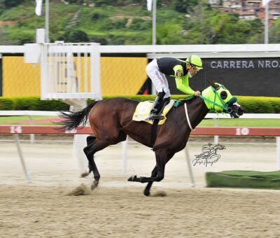 Sandovalera, horse, King Seraf, XCIII Clásico Hipódromo La Rinconada, domingo, 27 de junio de 2021, La Rinconada. Foto: José Antonio Aray