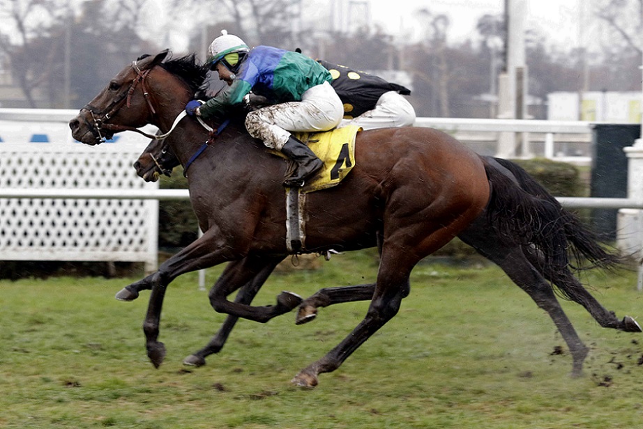 Snooker, horse, Stud Matriarca, Clásico Charlatán, viernes, 25 de junio de 2021, Club Hípico de Santiago. Foto: Foto Jaime Cortés