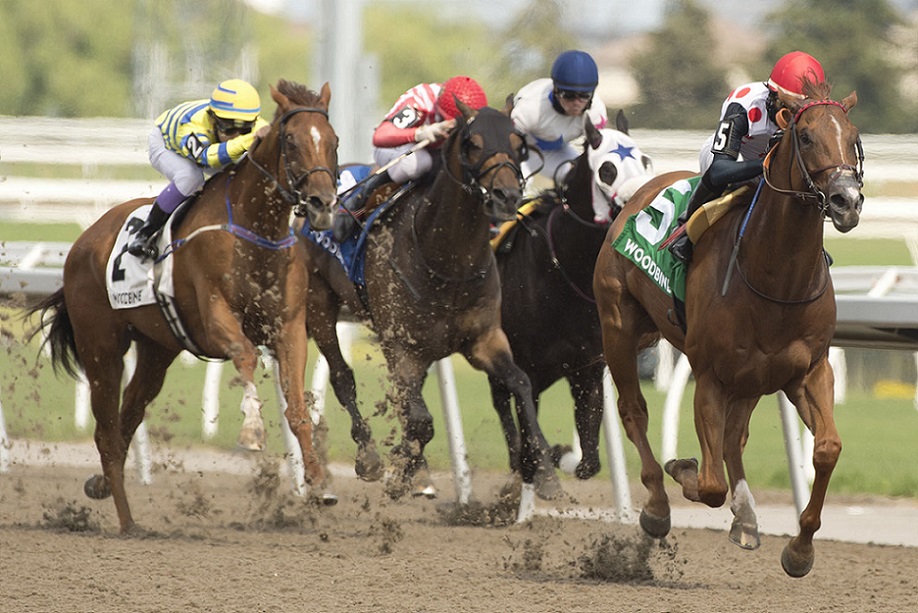 Souper Stonehenge, horse, Speightstown, Whimsical Stakes, domingo, 20 de junio de 2021, Woodbine. Foto: Michael Burns Photography