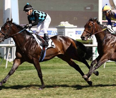 Todo Fino, horse, Haras Paso Nevado, Clásico Debut de Potrillos, viernes, 20 de diciembre de 2019, Hipódromo de Chile. Foto: Foto Jaime Cortés