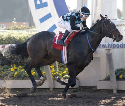 Todo Fino, horse, Verrazano, Clásico Juan Luis Edwards Sanfuentes, sábado, 12 de junio de 2021, Hipódromo de Chile. Foto: Foto Jaime Cortés