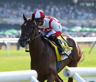 Domestic Spending, horse, Klaravich Stables, Manhattan Stakes, sábado, 5 de junio de 2021, Belmont Park. Foto: Coglaniese Photo