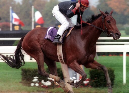 Inside Information, horse, Ogden Mills Phipps, Breeders´Cup Distaff, sábado, 28 de octubre de 1995, Belmont Park. Foto: Coglianese Photo