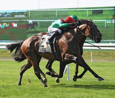 Oleksandra, horse, Animal Kingdom, Poker Stakes, domingo, 20 de junio de 2021, Belmont Park. Foto: Coglaniese Photo