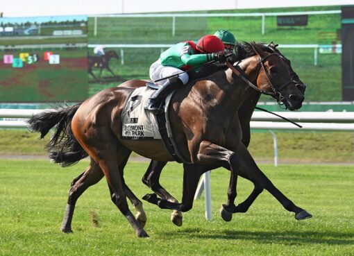 Oleksandra, horse, Animal Kingdom, Poker Stakes, domingo, 20 de junio de 2021, Belmont Park. Foto: Coglaniese Photo