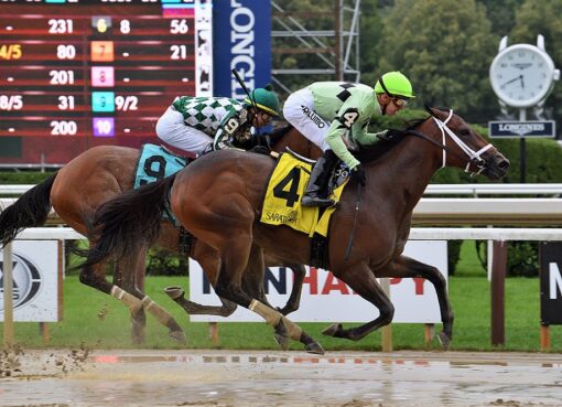 Goin´ Good, horse, Klein Racing, Coronation Cup Stakes, domingo, 18 de julio de 2021, Saratoga. Foto: Coglaniese Photo