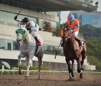 Headmaster, horse, Clásico Derby Mexicano, Hipódromo de Las Américas, sábado, 24 de julio de 2021. Foto: Miguel Ángel Espinoza