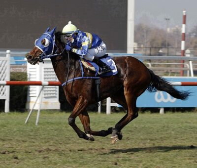 Justo y Preciso, horse, Stud Masaiva, Clásico Lamentado, viernes, 2 de julio de 2021, Club Hípico de Santiago. Foto: Jaime Cortés
