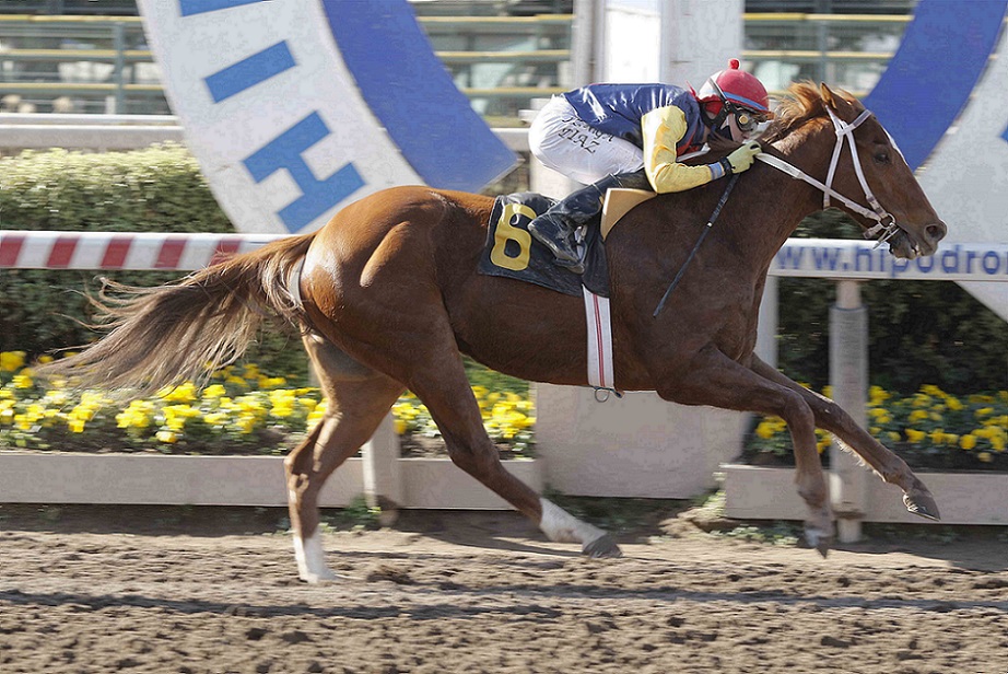 Medio Siglo, horse, Haras San Patricio, Clásico Wild Spirit, jueves, 29 de julio de 2021, Hipódromo de Chile. Foto: Foto Jaime Cortés