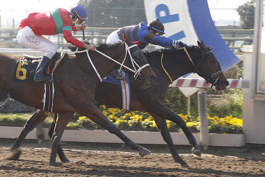 Ritza, horse, Haras Mocito Guapo, Clásico Hernán Braun Page, sábado, 17 de julio de 2021, Hipódromo de Chile. Foto: Foto Jaime Cortés