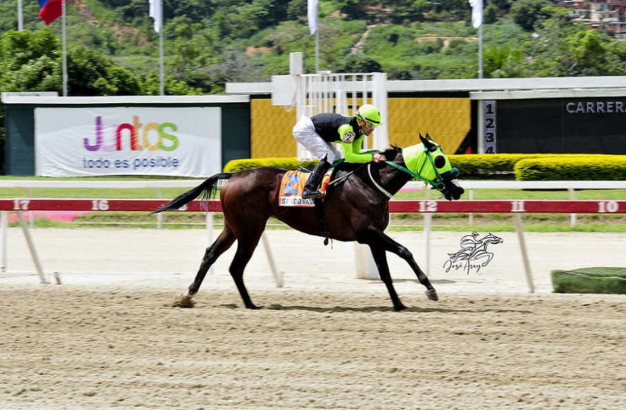 Sandovalera, horse, King Seraf, LXIII Clásico Prensa Hípica Nacional, domingo, 18 de julio de 2021, La Rinconada. Foto José Antonio Aray