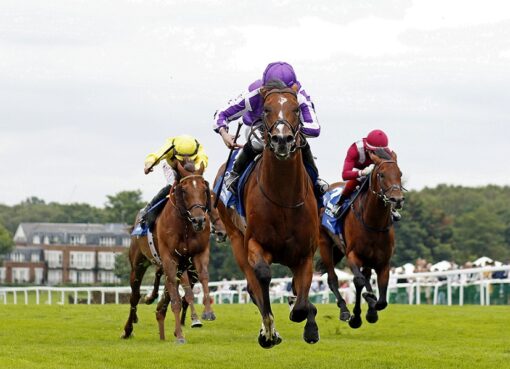 St Mark´s Basilica, horse, Siyouni, Coral Eclipse Stakes s G1, 3 de julio de 2021, Sandown Park. Foto: Racingphoto.com (Copyright)