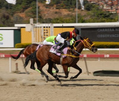 Valrazio, horse, Haras La Primavera, Copa De Oro, domingo, 23 de febrero de 2020, La Rinconada. Foto: José Antonio Aray