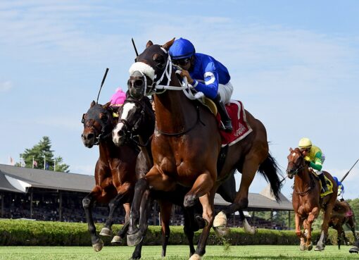 Rinaldi, horse, Posse, Forbidden Apple Stakes, viernes, 16 de julio de 2021, Saratoga. Foto: Coglaniese Photo & Chelsea Durand