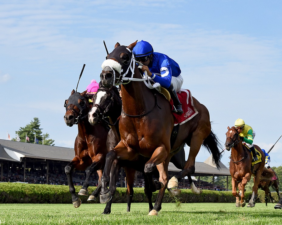 Rinaldi, horse, Posse, Forbidden Apple Stakes, viernes, 16 de julio de 2021, Saratoga. Foto: Coglaniese Photo & Chelsea Durand