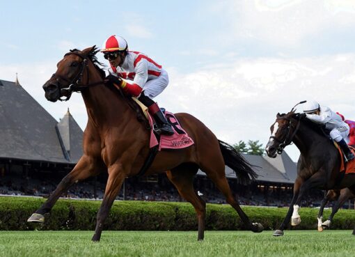 Technical Analysis, horse, Kingman, Lake George Stakes, viernes, 23 de julio de 2021, Saratoga. Foto: Coglaniese Photo & Chelsea Durand