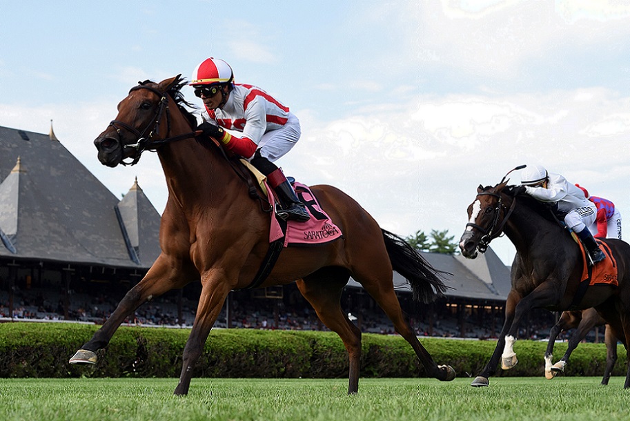 Technical Analysis, horse, Kingman, Lake George Stakes, viernes, 23 de julio de 2021, Saratoga. Foto: Coglaniese Photo & Chelsea Durand