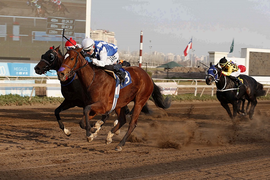 Con Dinero, horse, Haras Curiche, Clásico Premio Nobel, lunes, 15 de agosto de 2021, Club Hípico de Santiago. Foto: Jaime Cortés