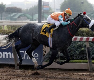 Facundo H, horse, Midshipman, Clásico Yumbel, sábado, 14 de agosto de 2021, Hipódromo de Chile. Foto: Jaime Cortés
