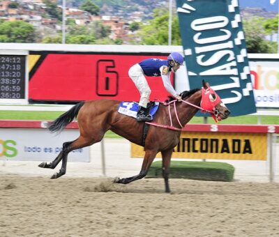 Max Security, horse, Yesby Jimminy, LXVI del Clásico República de Venezuela, domingo, 15 de agosto de 2021, La Rinconada. Foto: José Antonio Aray
