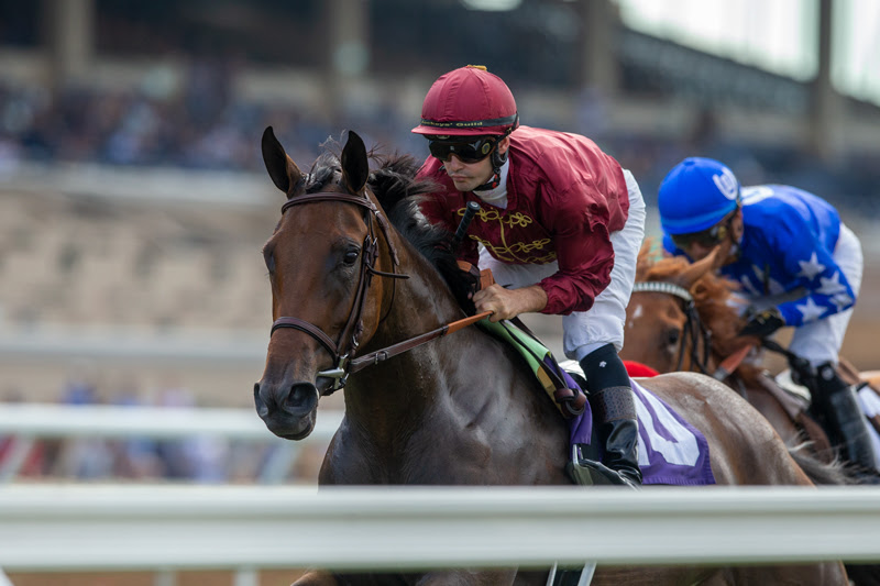 Shedaresthedevil, Horses, Daredevil, Clement L. Hirsch, domingo, 1 de agosto de 2021, Hipódromo de Del Mar. Foto: Benoit Photo