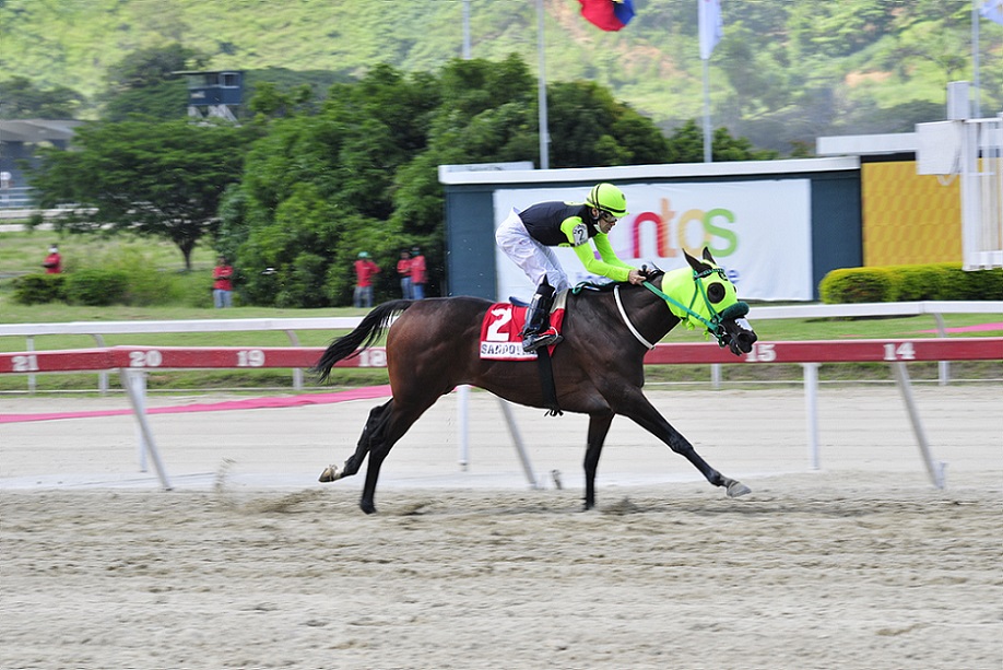 Sandovalera, horse, King Seraf, LIII del Clásico General Joaquín Crespo, domingo, 8 de agosto de 2021, La Rinconada. Foto: José Antonio Aray