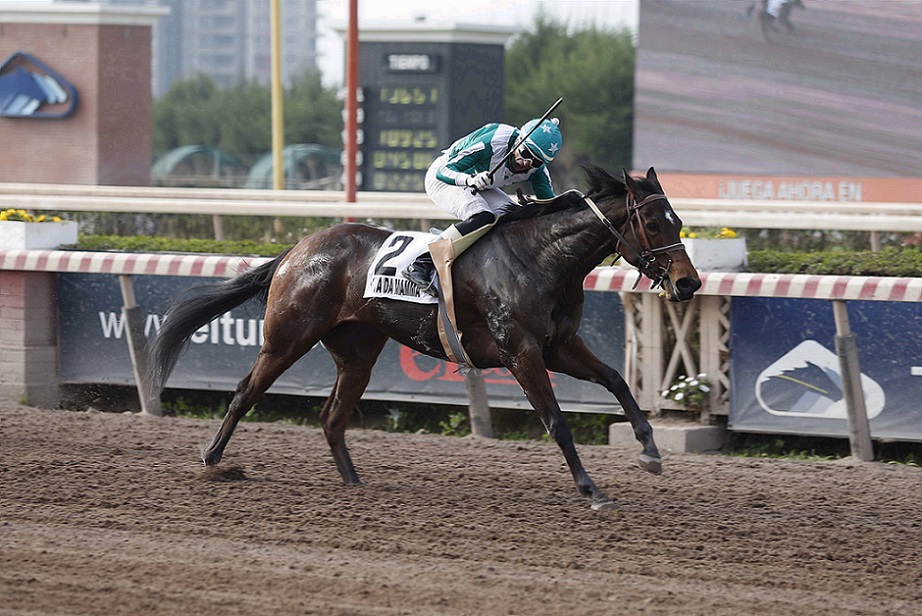 Vita Da Mamma, horse, Seeking The Día, Clásico Mil Guineas, sábado, 28 de agosto de 2021, Hipódromo de Chile. Foto: Jaime Cortés
