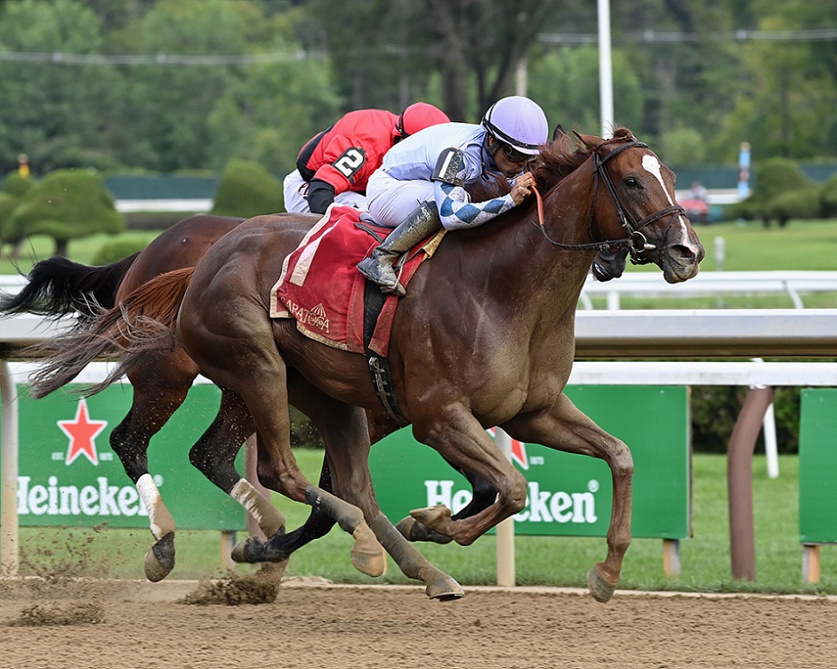 Bayerness, horse, Machmer Hall, Shine Again Stakes, miércoles, 4 de agosto de 2021, Saratoga. Foto: Coglaniese Photo