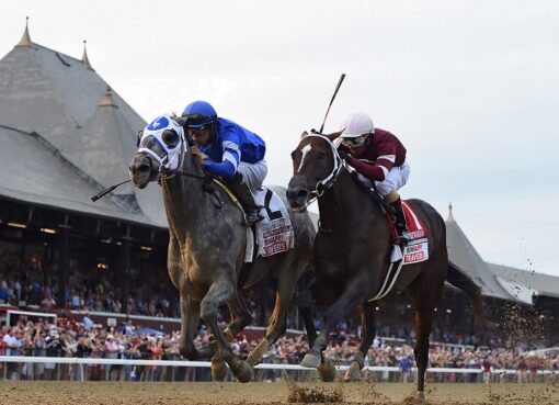 Essential Quality, horse, Tapit, Travers Stakes, sábado, 28 de agosto de 2021, Saratoga. Foto: Coglaniese Photo