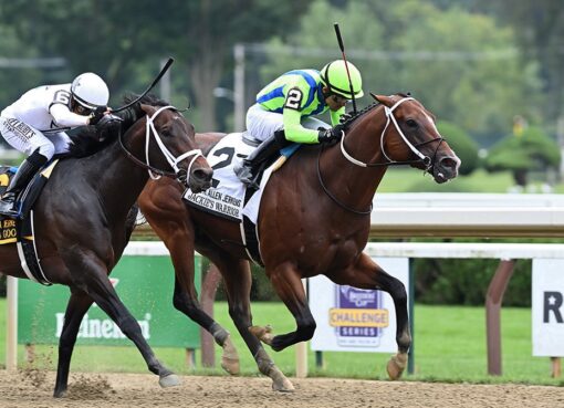 Jackie´s Warrior, horse, Maclean´s Music, H. Allen Jerkens Stakes, sábado, 28 de agosto de 2021, Saratoga. Foto: Coglaniese Photo
