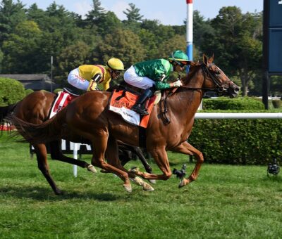 Regal Glory, horse, Peter M. Brant, De La Rosa Stakes, domingo, 8 de agosto de 2021, Saratoga. Foto: Coglaniese Photo & Susie Raisher