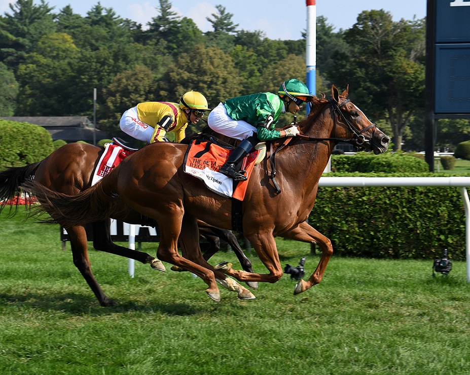 Regal Glory, horse, Peter M. Brant, De La Rosa Stakes, domingo, 8 de agosto de 2021, Saratoga. Foto: Coglaniese Photo & Susie Raisher